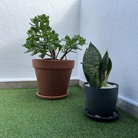 Atico By Marea Urban * La Laguna (Tenerife)